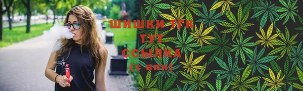 стаф Касимов